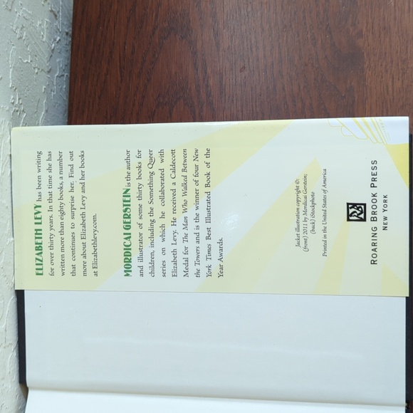 Parrots & Pirates (A Mystery at Sea) Hardcover Children's Chapter Book - Picture 8 of 8